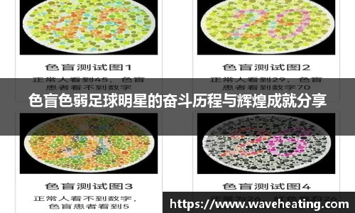mk体育官方网站
